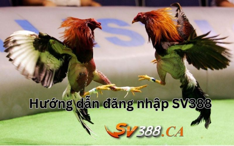 Đăng nhập SV388 trên máy tính